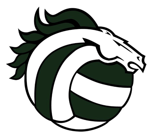 Massabesic Volleyball